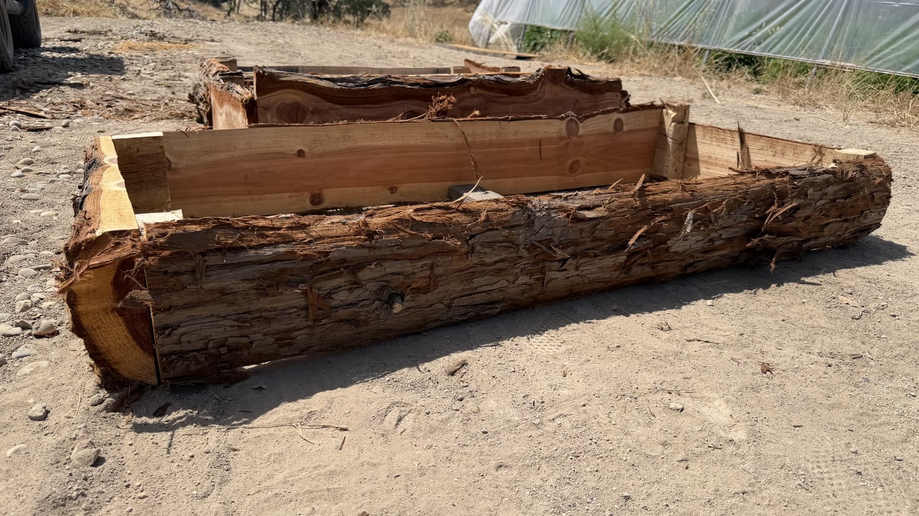 Rustic planter built directly from a large redwood log